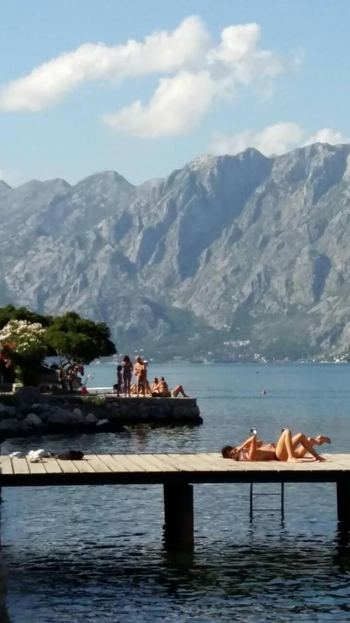 Radiant Appartement Kotor Buitenkant foto